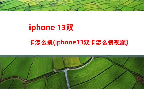 iphone 13双卡怎么装(iphone13双卡怎么装视频)